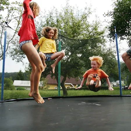 Apartment Erlebnisbauernhof Tschom *