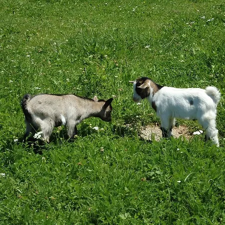 Erlebnisbauernhof Tschom * Sankt Kanzian am Klopeiner See
